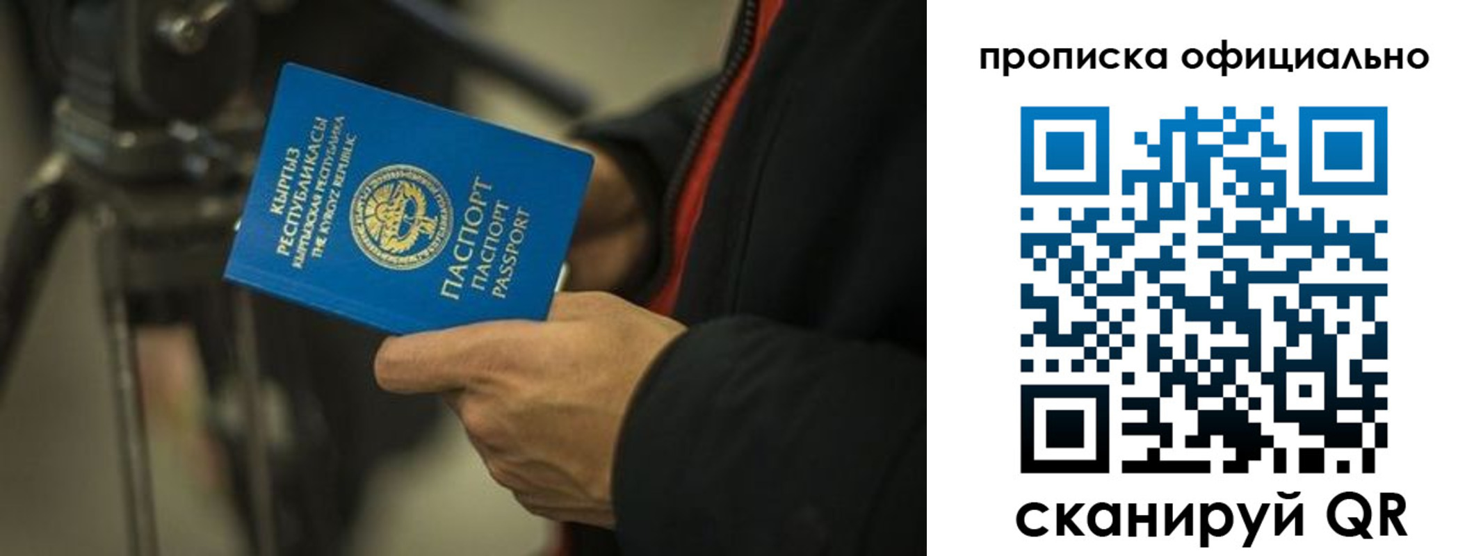 прописка в Химках